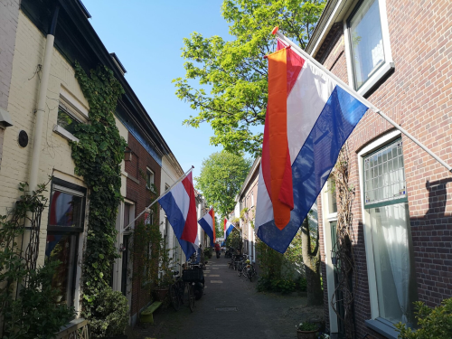 Nederlandse vlaggenset