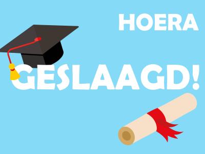 GESLAAGD vlag